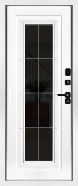 Астра Букле графит